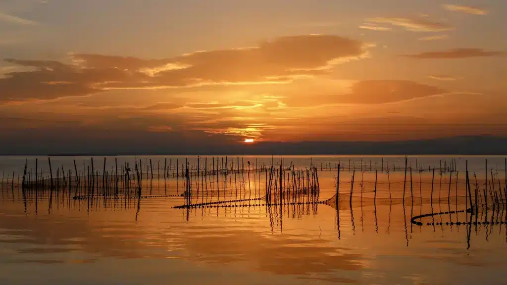 Atardecer en l'Albufera